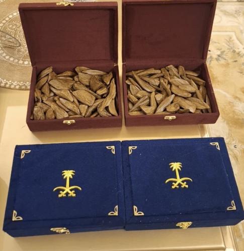 عود مروكي محسن كنق