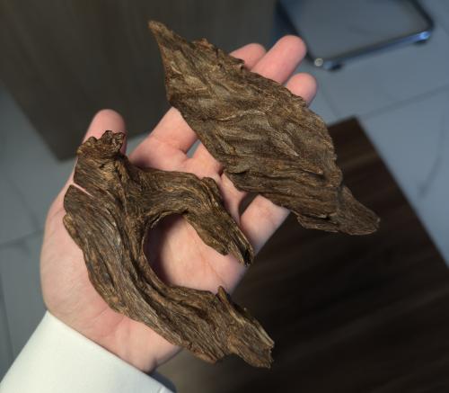 عود كمبودي نوادر ( فرزة رقم ٣ )