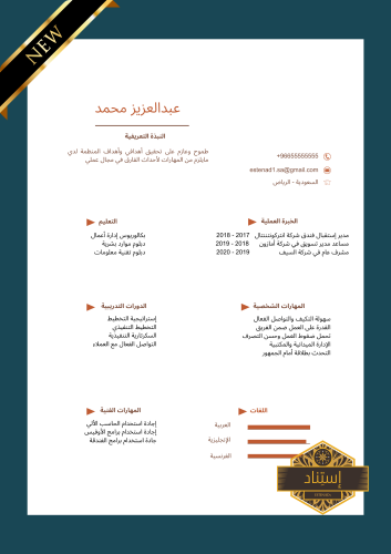 سيرة ذاتية إحترافية