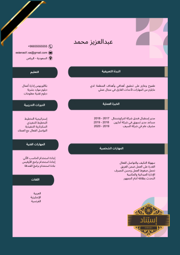 سيرة ذاتية إحترافية