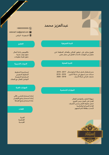 سيرة ذاتية إحترافية