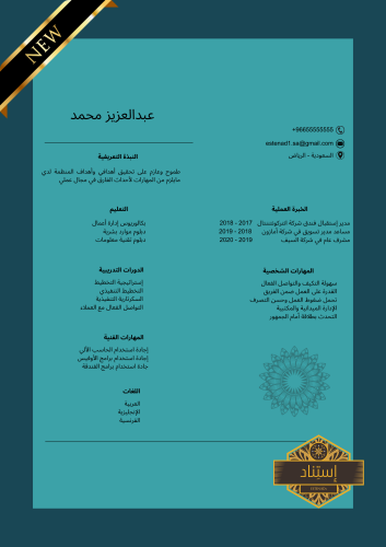 سيرة ذاتية إحترافية