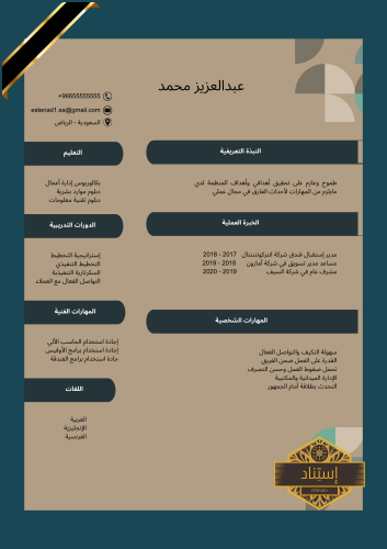 سيرة ذاتية إحترافية