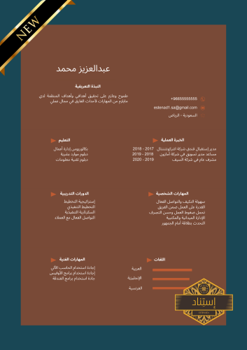 سيرة ذاتية إحترافية