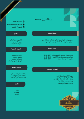 سيرة ذاتية إحترافية