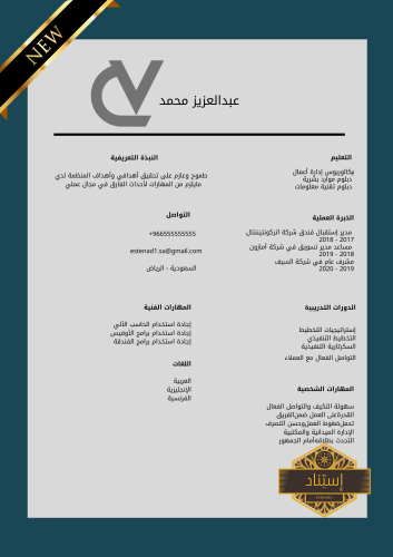 سيرة ذاتية إحترافية