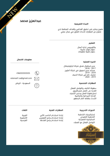 سيرة ذاتية إحترافية
