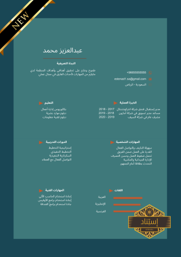 سيرة ذاتية إحترافية