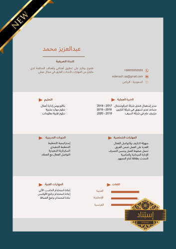 سيرة ذاتية إحترافية