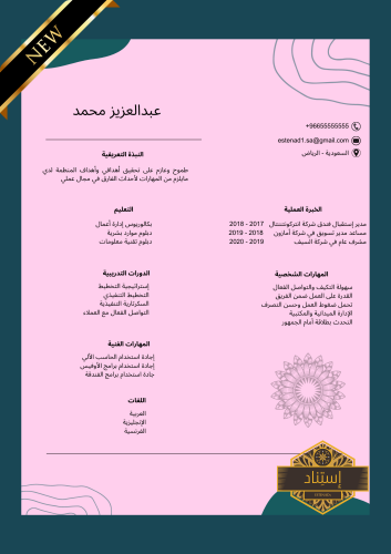سيرة ذاتية إحترافية