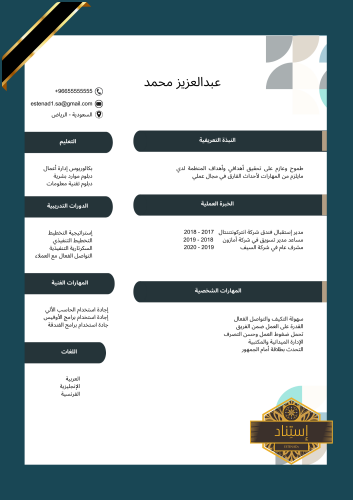 سيرة ذاتية إحترافية