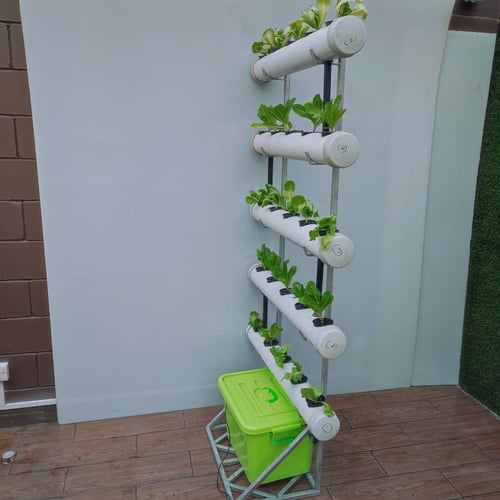 زراعة مائية عمودية نظام ورقيات قائم مفرد | 25 شتلة