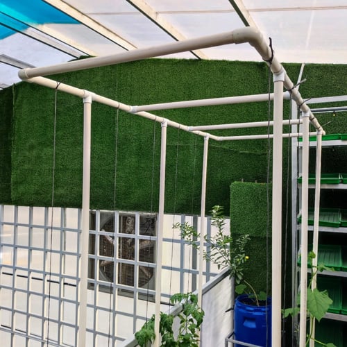 نظام دتش بكت بلس مع حوض و حامل | 10 شتلة