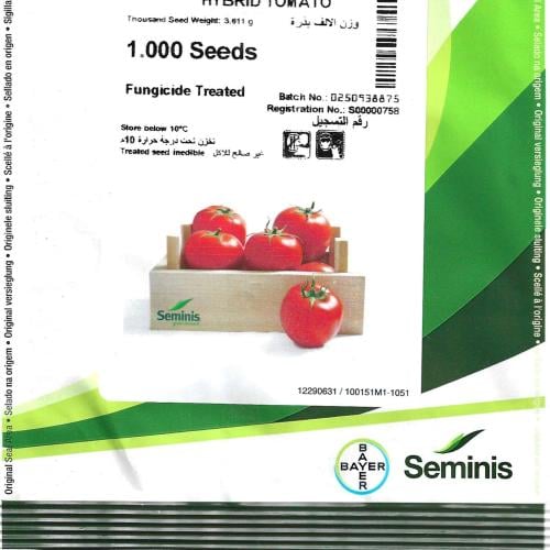 بذور طماطم صنف تون جيتار - 1000 بذرة