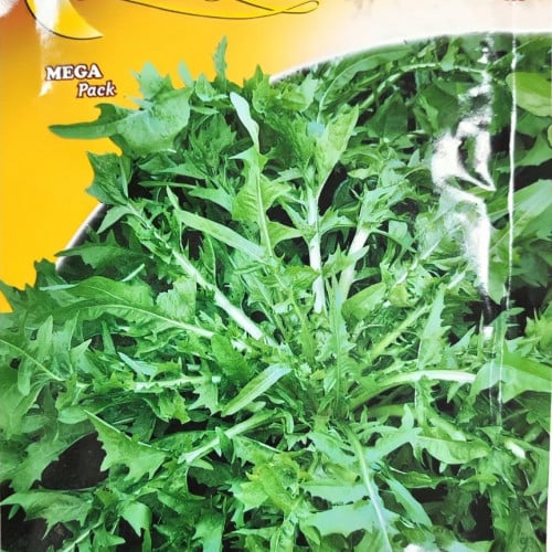 بذور هندباء