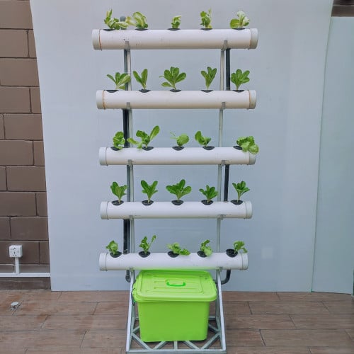 زراعة مائية عمودية نظام ورقيات قائم مفرد | 25 شتلة