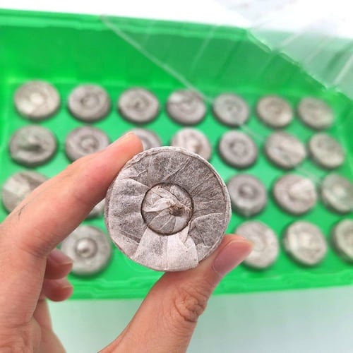 صينية تشتيل مع اقراص كوكوبيت (28 شتلة)