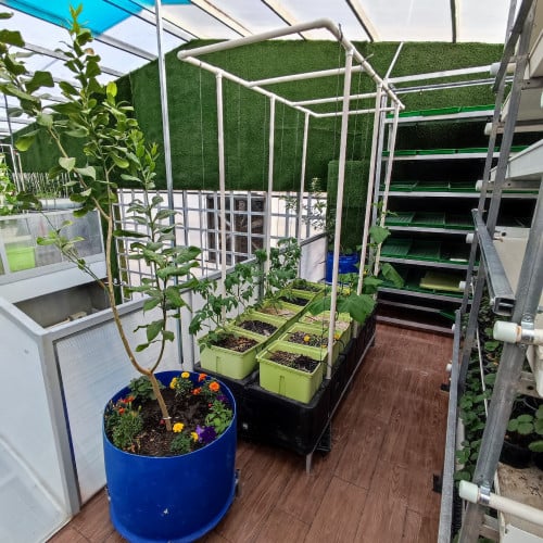 نظام دتش بكت بلس مع حوض و حامل | 10 شتلة