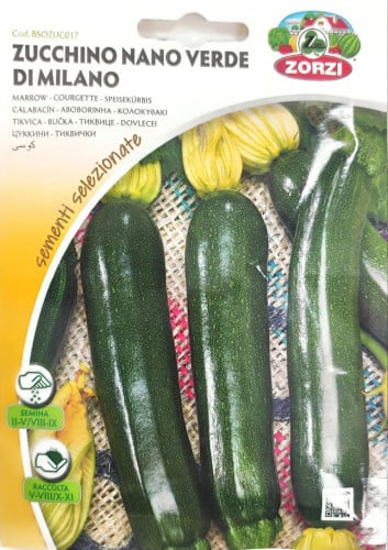 بذور الكوسا