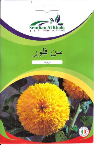 بذور سن فلور ايطالي