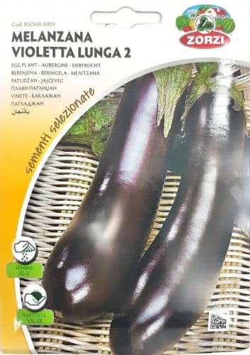 بذور باذنجان