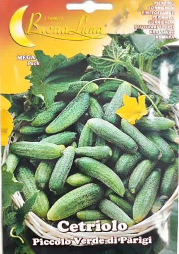 بذور خيار قزم