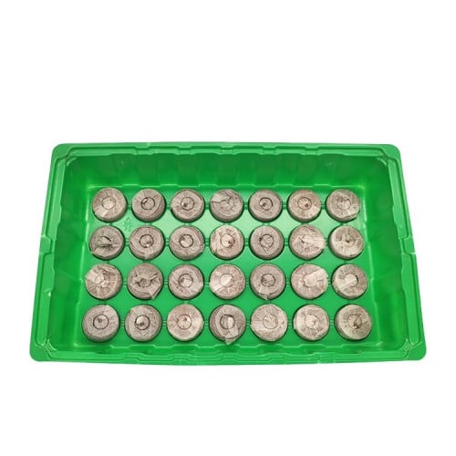 صينية تشتيل مع اقراص كوكوبيت (28 شتلة)