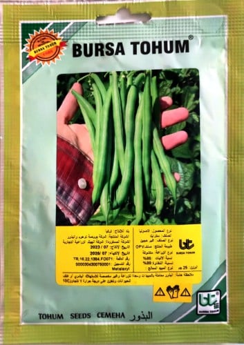 بذور فاصوليا