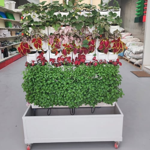 نظام جداري احواض ثنائية | 64 شتلة