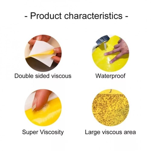 لاصق صائد الحشرات