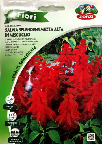 قويصة موردة