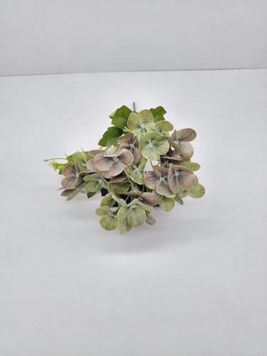 هيدرنجا -(B8)