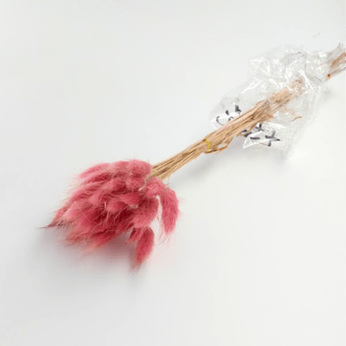 ريش ذيل أرنب ألوان