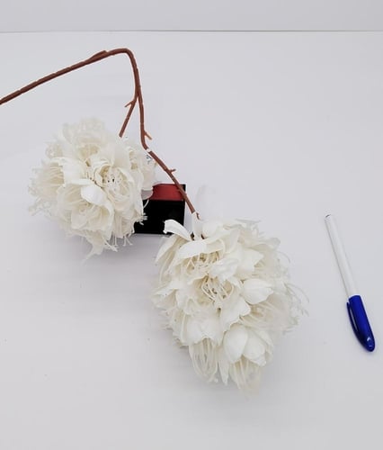 اكسسوار -(F22)