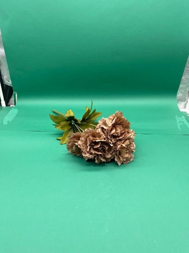 بنشات قرنقل كبير