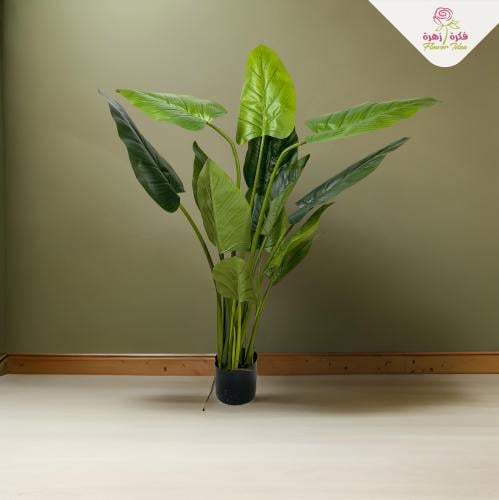 شجرة عصفور الجنة