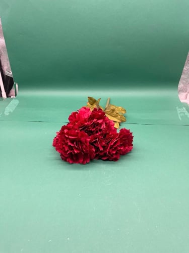 بنشات قرنقل كبير