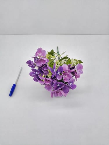 هيدرنجا -(B8)