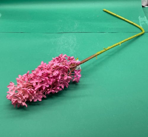 اغصان اكسسوار