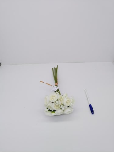 بيبي بيونيا -(A13)