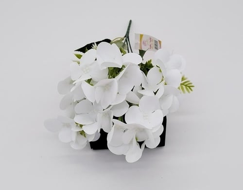 هيدرنجا -(B8)