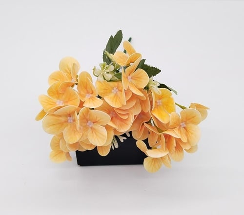 هيدرنجا -(B8)