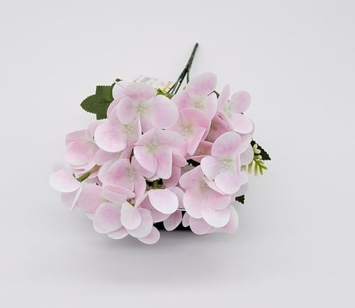 هيدرنجا -(B8)