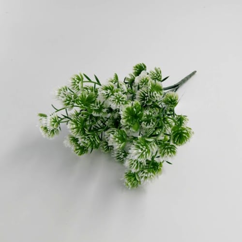 خضار جيموفيرنا