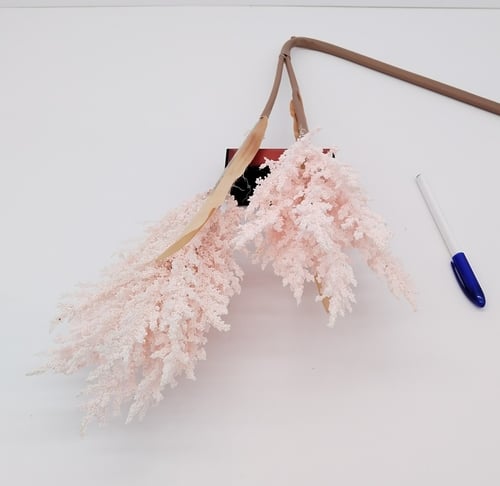 اكسسوار -(F20)