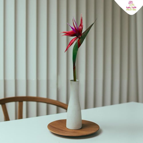 زهرة العصفور