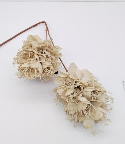 اكسسوار -(F22)