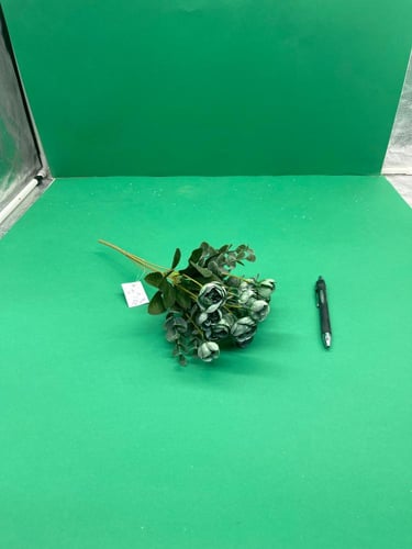 ربطات بيبي بيونيا (A18)