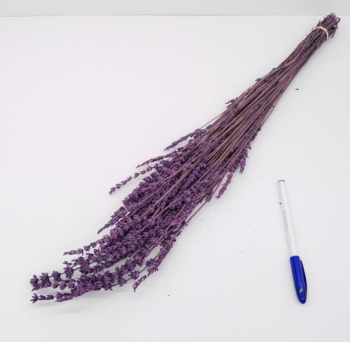 مجففات لافندر