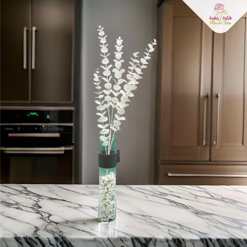 اكسسوار -(F11)